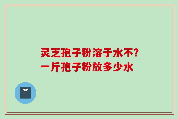 灵芝孢子粉溶于水不？一斤孢子粉放多少水