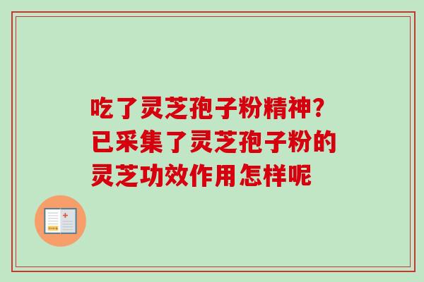 吃了灵芝孢子粉精神？已采集了灵芝孢子粉的灵芝功效作用怎样呢