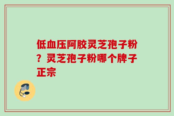 低血压阿胶灵芝孢子粉？灵芝孢子粉哪个牌子正宗