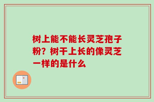 树上能不能长灵芝孢子粉？树干上长的像灵芝一样的是什么