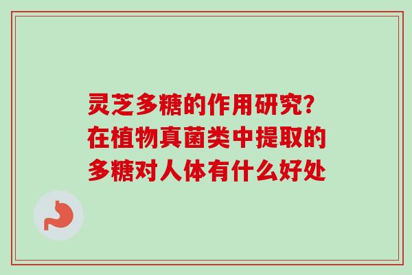 灵芝多糖的作用研究？在植物真菌类中提取的多糖对人体有什么好处