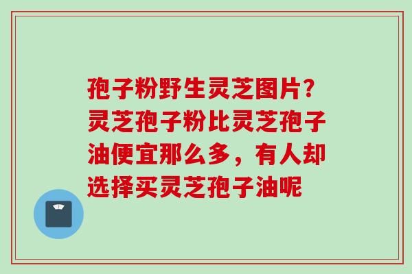 孢子粉野生灵芝图片？灵芝孢子粉比灵芝孢子油便宜那么多，有人却选择买灵芝孢子油呢