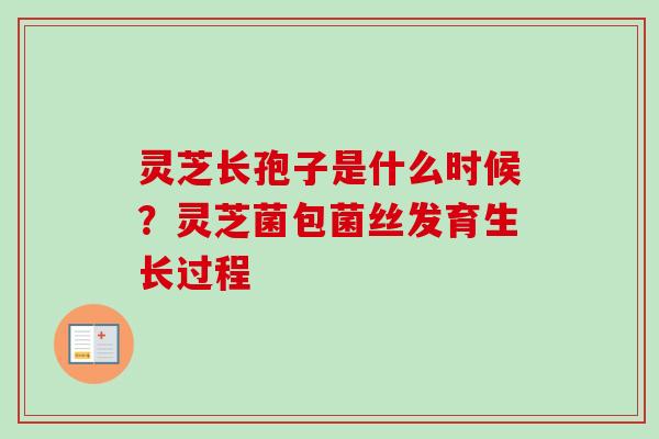 灵芝长孢子是什么时候？灵芝菌包菌丝发育生长过程