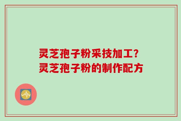 灵芝孢子粉采技加工？灵芝孢子粉的制作配方