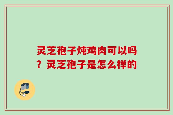 灵芝孢子炖鸡肉可以吗？灵芝孢子是怎么样的