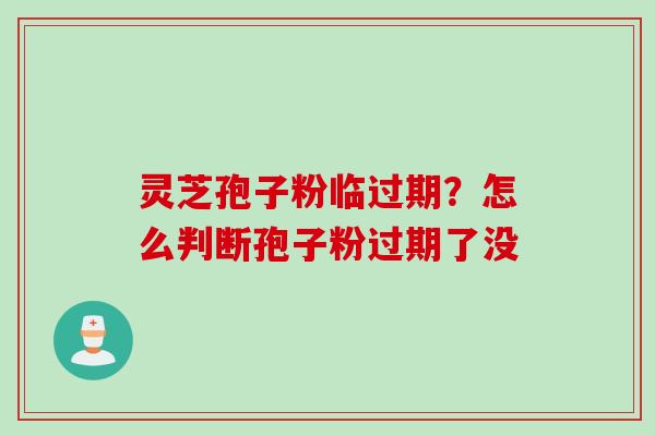 灵芝孢子粉临过期？怎么判断孢子粉过期了没