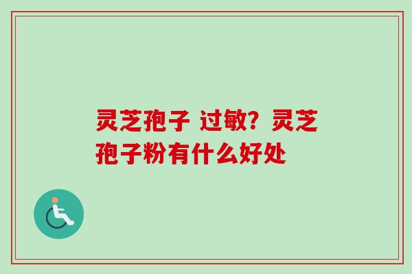 灵芝孢子 过敏？灵芝孢子粉有什么好处