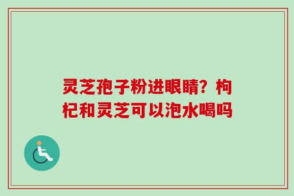 灵芝孢子粉进眼睛？枸杞和灵芝可以泡水喝吗