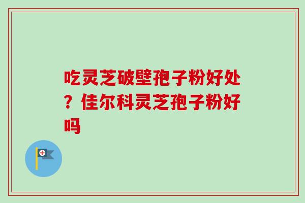吃灵芝破壁孢子粉好处？佳尔科灵芝孢子粉好吗