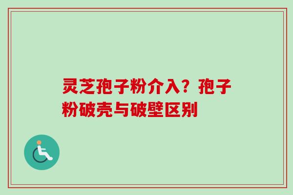 灵芝孢子粉介入？孢子粉破壳与破壁区别