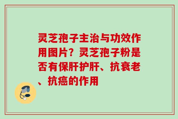 灵芝孢子主治与功效作用图片？灵芝孢子粉是否有保肝护肝、抗衰老、抗癌的作用