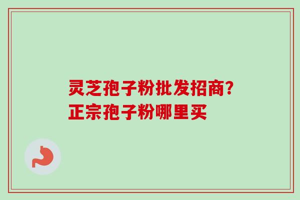 灵芝孢子粉批发招商？正宗孢子粉哪里买