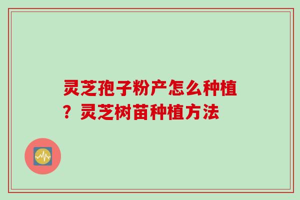 灵芝孢子粉产怎么种植？灵芝树苗种植方法