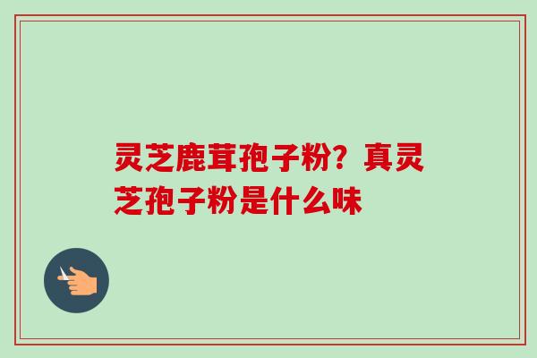 灵芝鹿茸孢子粉？真灵芝孢子粉是什么味