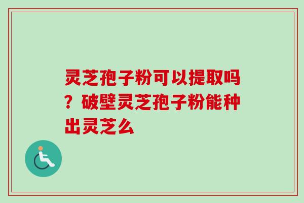 灵芝孢子粉可以提取吗？破壁灵芝孢子粉能种出灵芝么