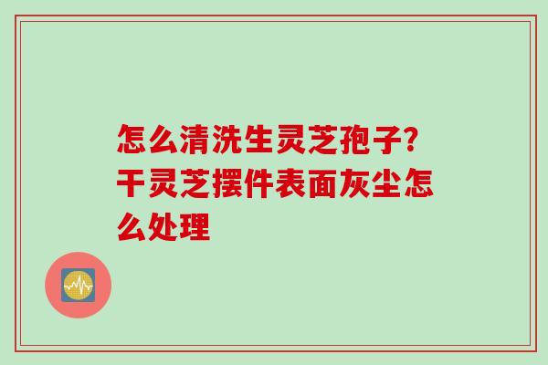 怎么清洗生灵芝孢子？干灵芝摆件表面灰尘怎么处理