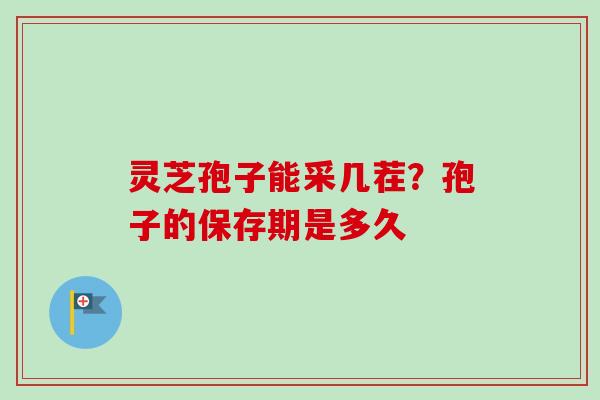 灵芝孢子能采几茬？孢子的保存期是多久