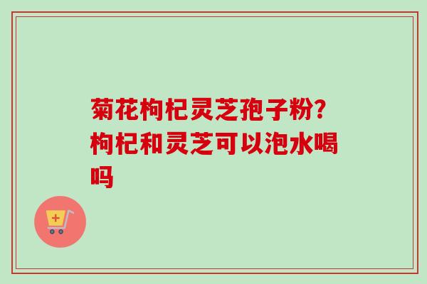 菊花枸杞灵芝孢子粉？枸杞和灵芝可以泡水喝吗