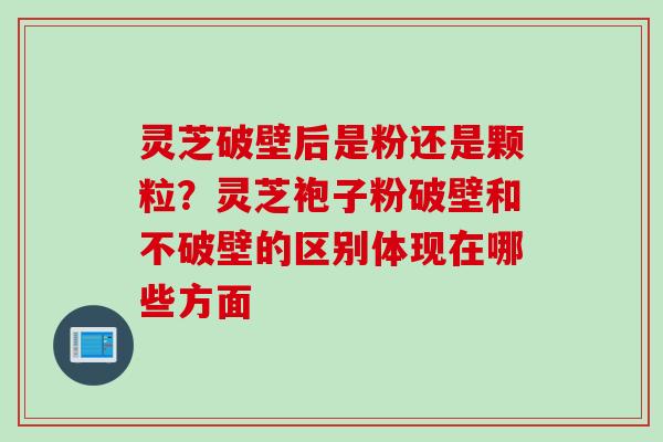 灵芝破壁后是粉还是颗粒？灵芝袍子粉破壁和不破壁的区别体现在哪些方面