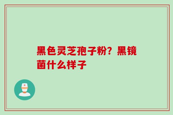 黑色灵芝孢子粉？黑镜菌什么样子