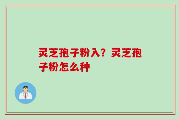 灵芝孢子粉入？灵芝孢子粉怎么种