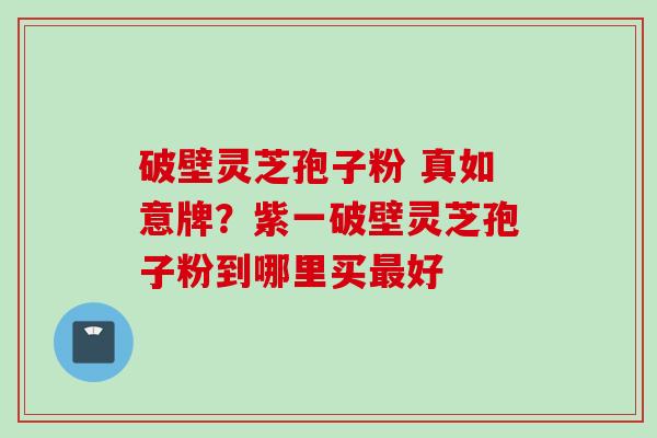 破壁灵芝孢子粉 真如意牌？紫一破壁灵芝孢子粉到哪里买最好
