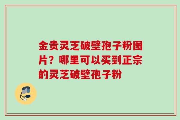 金贵灵芝破壁孢子粉图片？哪里可以买到正宗的灵芝破壁孢子粉