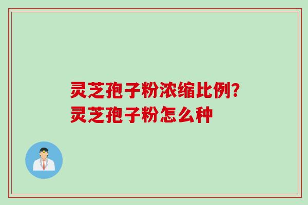 灵芝孢子粉浓缩比例？灵芝孢子粉怎么种