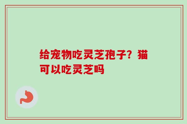 给宠物吃灵芝孢子？猫可以吃灵芝吗