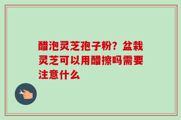 醋泡灵芝孢子粉？盆栽灵芝可以用醋擦吗需要注意什么