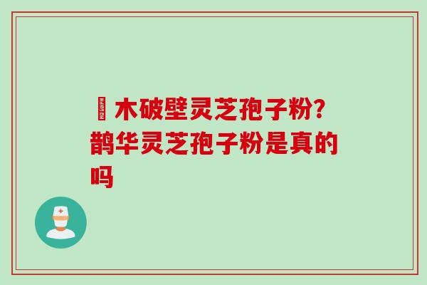 塅木破壁灵芝孢子粉？鹊华灵芝孢子粉是真的吗