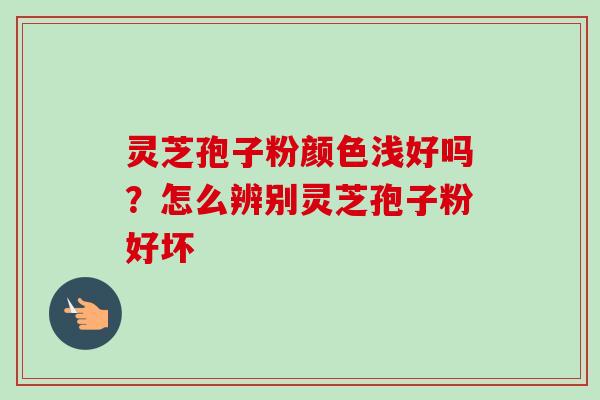 灵芝孢子粉颜色浅好吗？怎么辨别灵芝孢子粉好坏