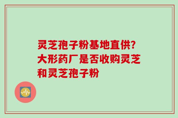 灵芝孢子粉基地直供？大形药厂是否收购灵芝和灵芝孢子粉