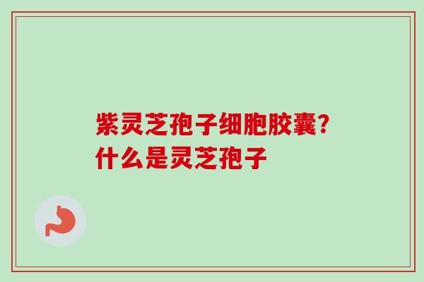 紫灵芝孢子细胞胶囊？什么是灵芝孢子