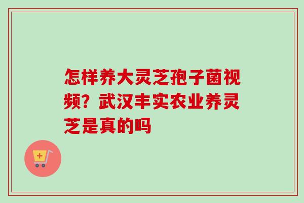 怎样养大灵芝孢子菌视频？武汉丰实农业养灵芝是真的吗