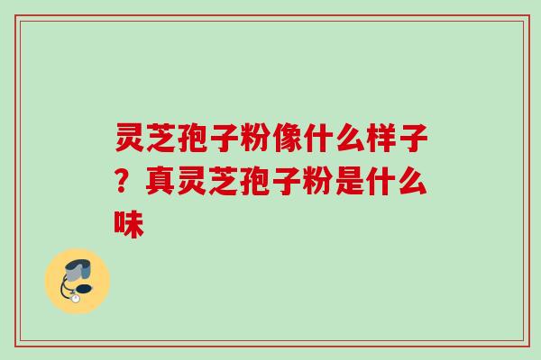 灵芝孢子粉像什么样子？真灵芝孢子粉是什么味