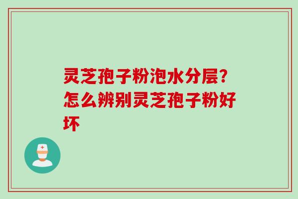 灵芝孢子粉泡水分层？怎么辨别灵芝孢子粉好坏