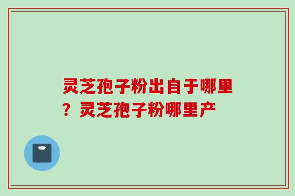 灵芝孢子粉出自于哪里？灵芝孢子粉哪里产
