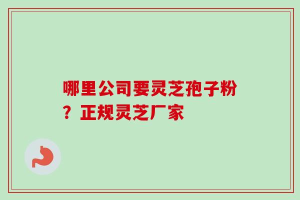哪里公司要灵芝孢子粉？正规灵芝厂家