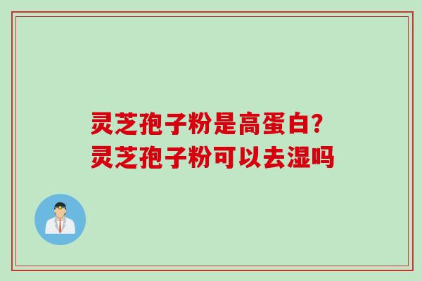 灵芝孢子粉是高蛋白？灵芝孢子粉可以去湿吗