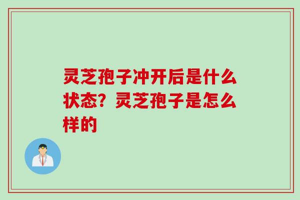 灵芝孢子冲开后是什么状态？灵芝孢子是怎么样的