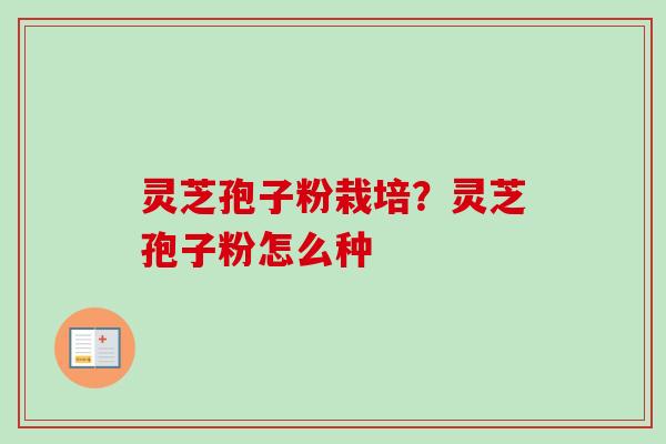 灵芝孢子粉栽培？灵芝孢子粉怎么种