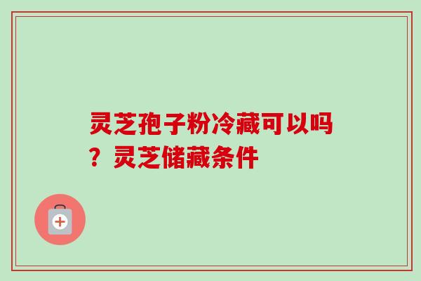 灵芝孢子粉冷藏可以吗？灵芝储藏条件