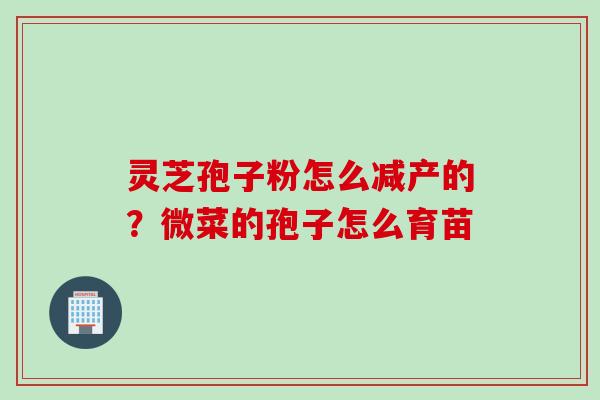 灵芝孢子粉怎么减产的？微菜的孢子怎么育苗