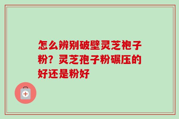 怎么辨别破壁灵芝袍子粉？灵芝孢子粉碾压的好还是粉好