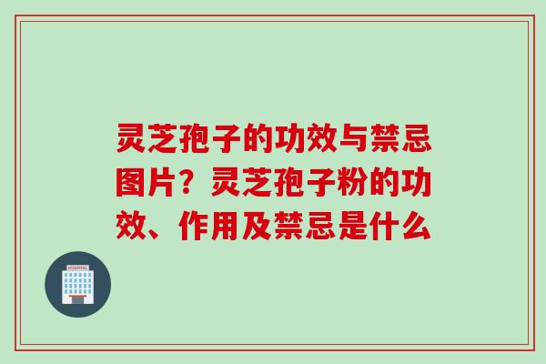 灵芝孢子的功效与禁忌图片？灵芝孢子粉的功效、作用及禁忌是什么