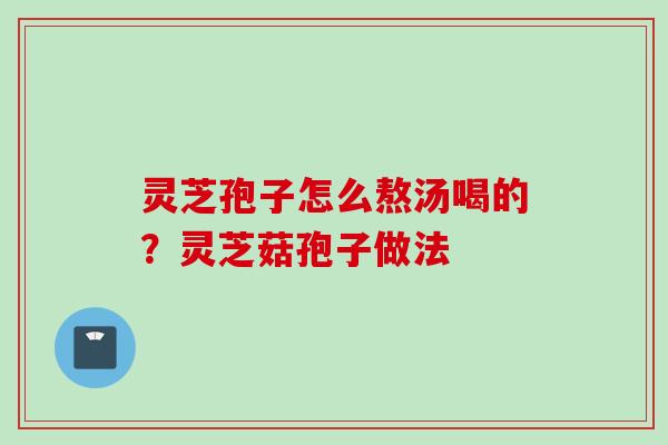 灵芝孢子怎么熬汤喝的？灵芝菇孢子做法