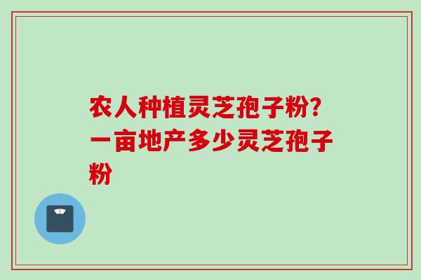 农人种植灵芝孢子粉？一亩地产多少灵芝孢子粉