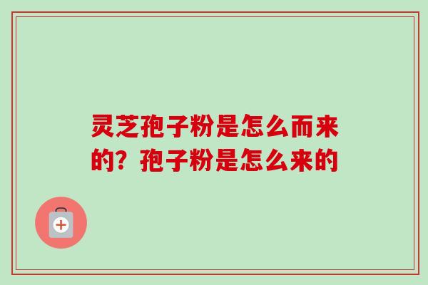 灵芝孢子粉是怎么而来的？孢子粉是怎么来的