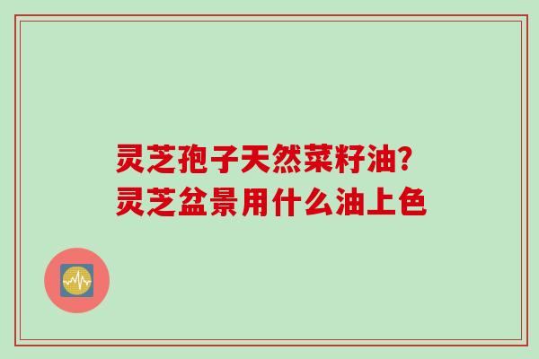 灵芝孢子天然菜籽油？灵芝盆景用什么油上色